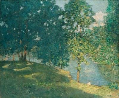 Pomeriggio presso lo stagno da Julian Alden Weir